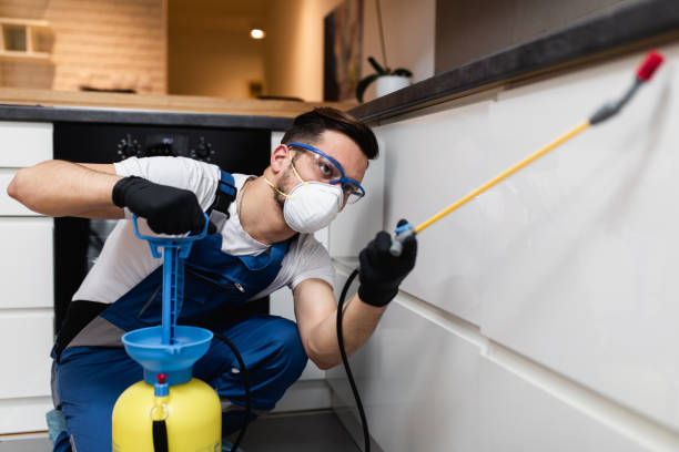 Best Affordable Pest Control Services  in Davis Junction, IL