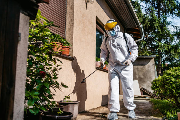 Best Pest Control Near Me in Davis Junction, IL
