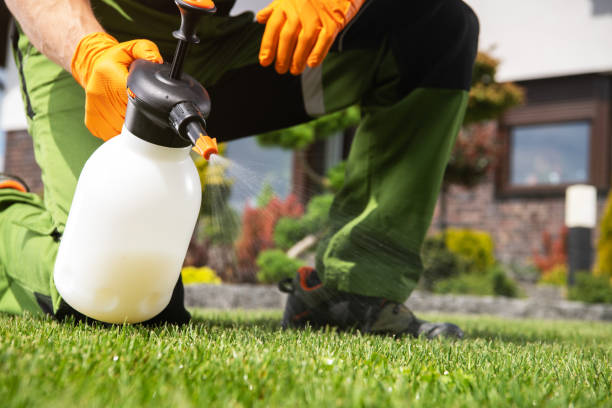 Best Flea Control Services  in Davis Junction, IL