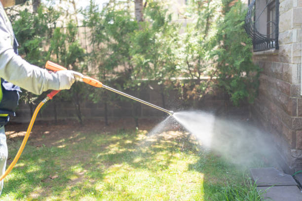 Best Pest Inspection Near Me  in Davis Junction, IL