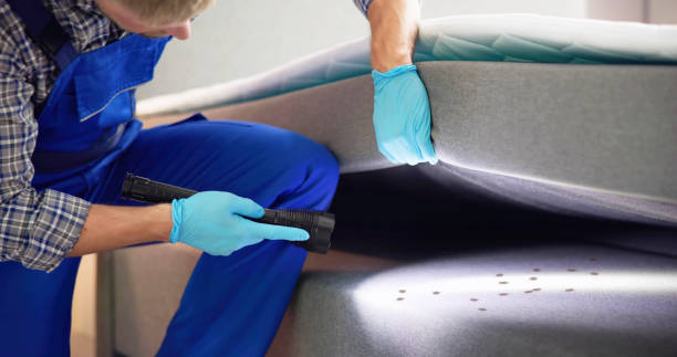 Best Pest Control for Restaurants  in Davis Junction, IL