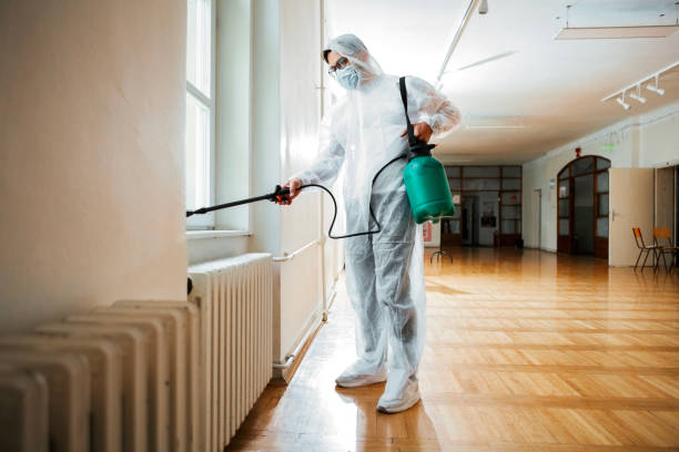 Best Affordable Pest Control Services  in Davis Junction, IL