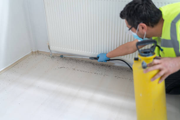 Best Exterminator Services  in Davis Junction, IL