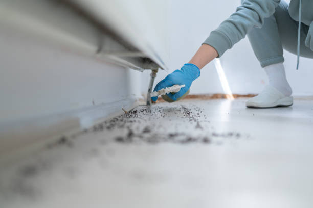 Pest Control for Restaurants in Davis Junction, IL