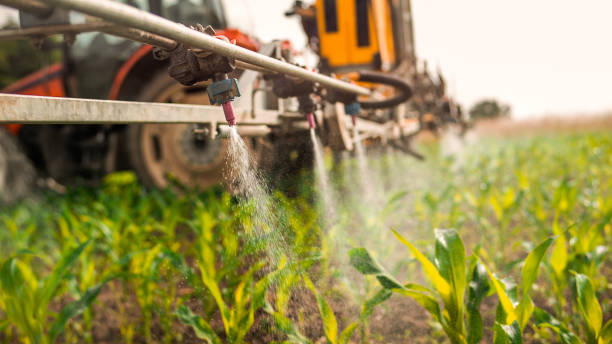 Best Best Pest Control Near Me  in Davis Junction, IL